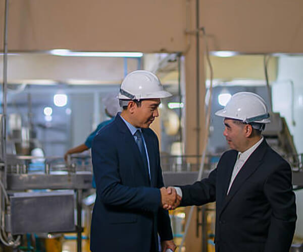 Hubei Hongyuan Pharmaceutical Technology Co., Ltd
