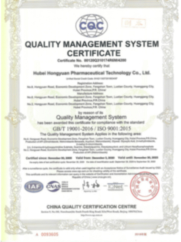 Hubei Hongyuan Pharmaceutical Technology Co., Ltd