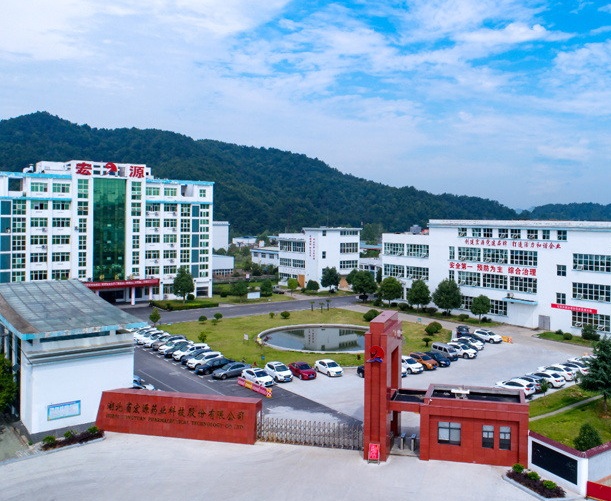 Hubei Hongyuan Pharmaceutical Technology Co., Ltd