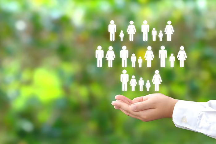Hubei Hongyuan Pharmaceutical Technology Co., Ltd