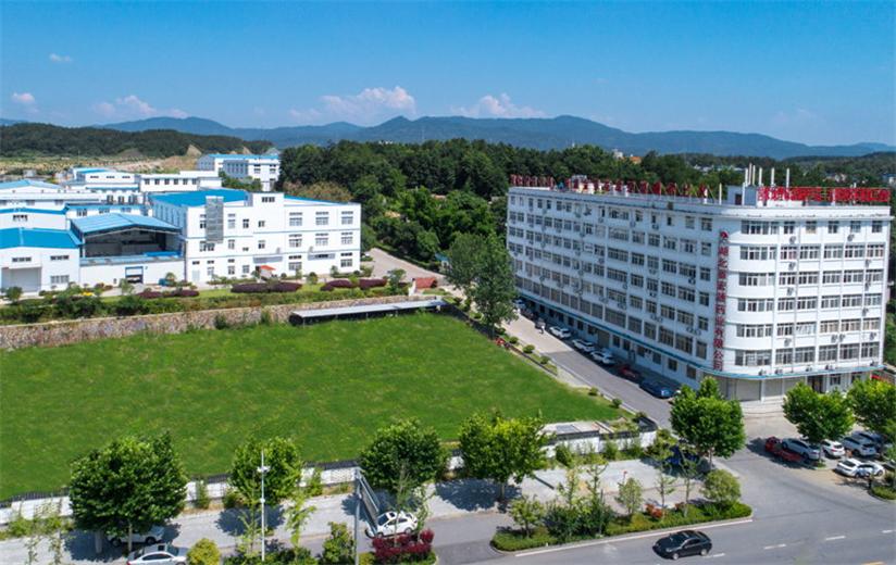 Wuxue Hongyuan Pharmaceutical Co., Ltd.